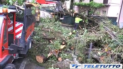 Video News - SEBINO, SI CONTANO I DANNI