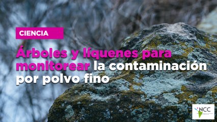 Árboles y líquenes para monitorear la contaminación por polvo fino