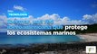 Ibermar, una red iberoamericana que protege los ecosistemas marinos