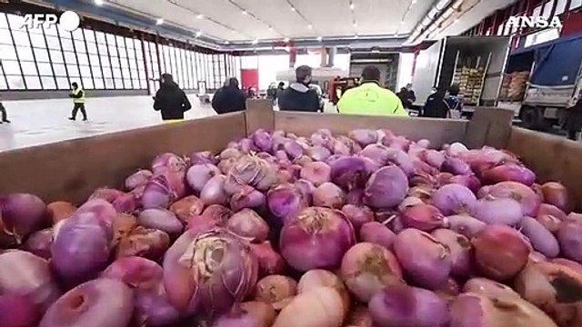 Onu: Allarme fame sempre alto, colpiti in 735 milioni