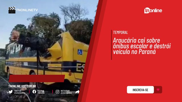 Araucária cai sobre ônibus escolar e destrói veículo no Paraná; vídeo