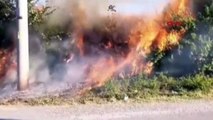 Tosya'da Elektrik Direği Yangına Neden Oldu