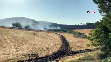 Incendie dans un champ de blé à Mustafakemalpaşa