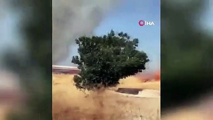 30 acres de champs de céréales réduits en cendres dans l'incendie de Burdur