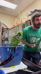 Man Has Fun Conversation With Parrot
