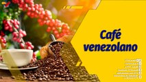 Punto de Encuentro | 2do Encuentro Internacional de Café de Especialidad Venezolano