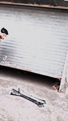 accident corolla crached