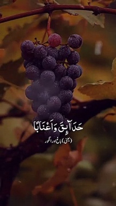 #Quran