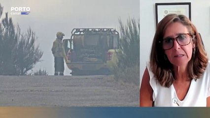 “Temos tudo em marcha para que as coisas possam correr com a máxima tranquilidade”, afirma Patrícia Gaspar sobre combate aos incêndios