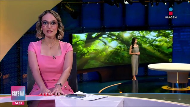 Chicago registra tornados y tormentas eléctricas en la zona metropolitana