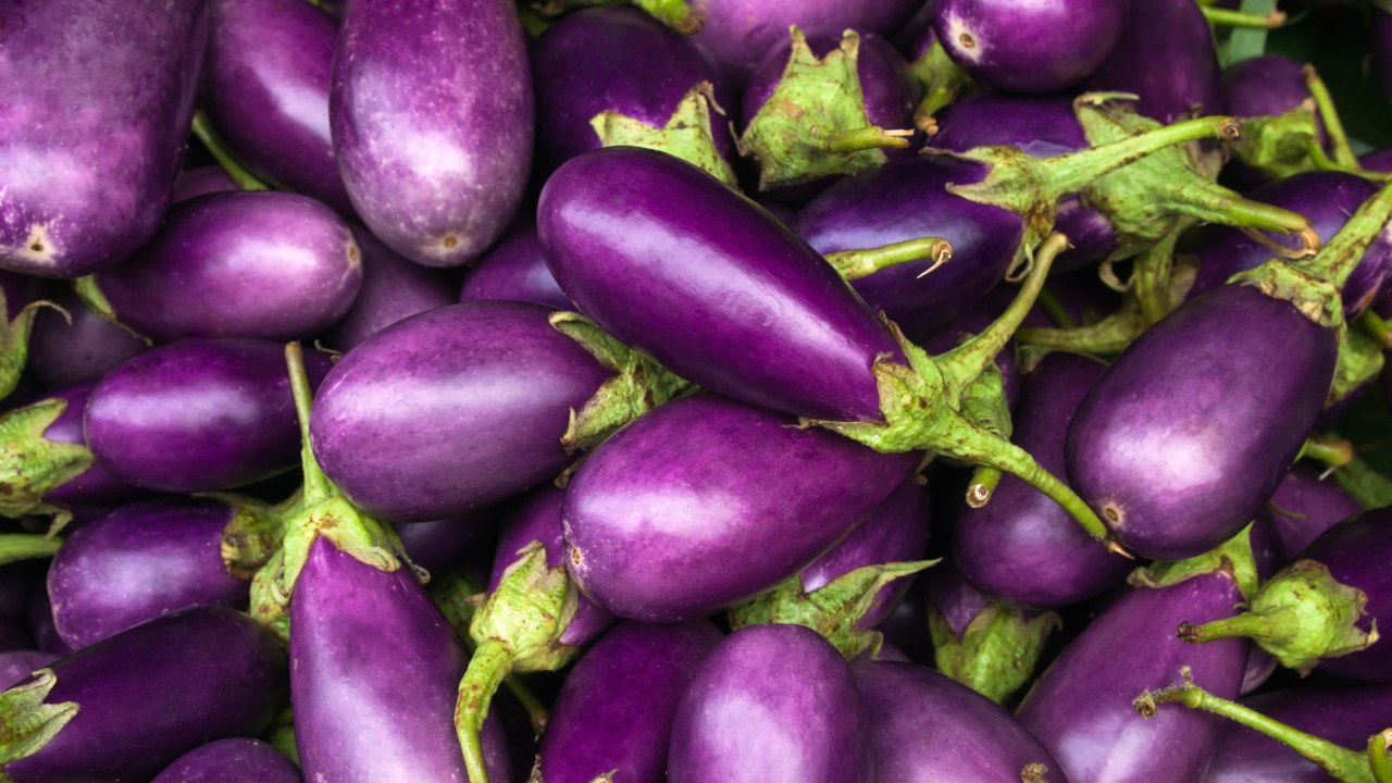 Can You Freeze Eggplant? Here's What You Need to Know