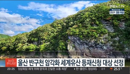 울산 반구천 암각화 세계유산 등재신청 대상 선정