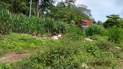 ext-abandono-puntarenas-130723