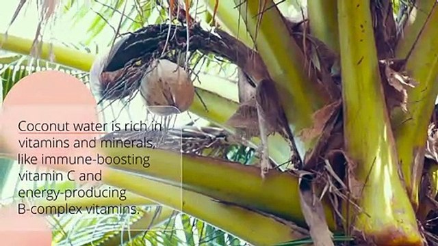 Coconut Water: Your Natural Source of Hydration and Wellness
