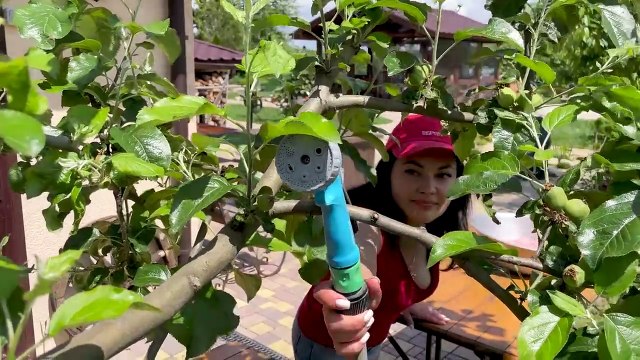 The taste of Fried Bull Testicles is incomparable! The Best Recipe for Men