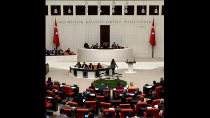 TBMM'de Kürtçe-Arapça selam tartışması