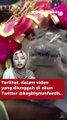 Viral, Seorang Pejabat Nikahi Seeekor Buaya dengan Pesta Meriah, Hah Kok Bisa_