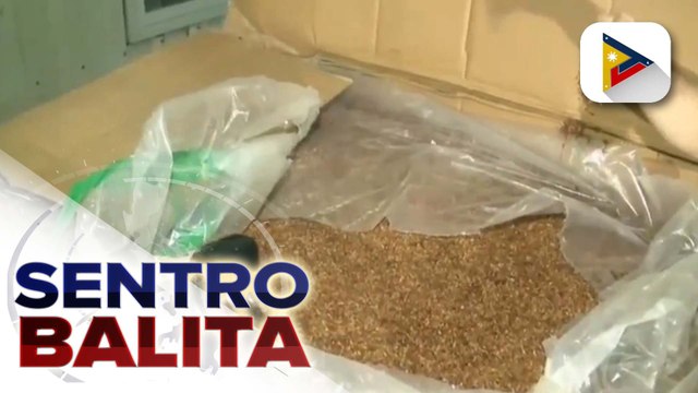 Iligal na pagawaan ng sigarilyo sa Subic, Zambales, ni-raid ng BIR