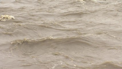 집중호우에 전국 하천 곳곳 '홍수특보' 발령 / YTN