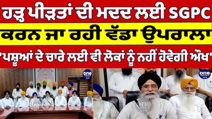 ਹੜ੍ਹ ਪੀੜਤਾਂ ਦੀ ਮਦਦ ਲਈ SGPC ਕਰਨ ਜਾ ਰਹੀ ਵੱਡਾ ਉਪਰਾਲਾ | Harjinder Singh Dhami |OneIndia Punjabi