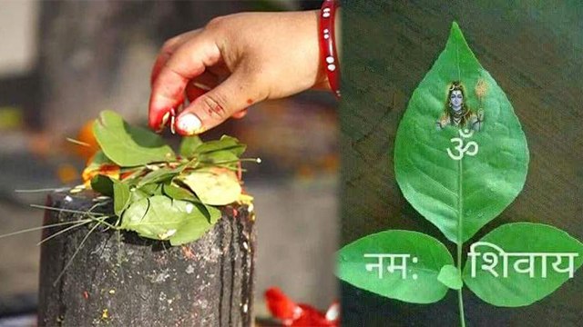 Sawan Shivratri Belpatra Upay 2023: सावन में बेलपत्र के करें ये उपाय । Boldsky