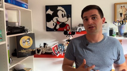 «Je suis fan de la magie, pas du pognon» : le prix des pass annuels Disneyland met en colère les abonnés