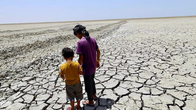 Climate Crisis, Drought in Iraq kills Millions of Fishes