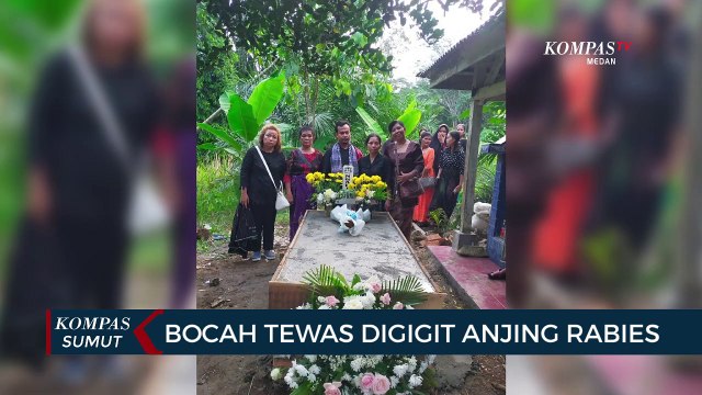 Bocah Ini Meninggal Dunia Setelah Sebulan Digigit Anjing