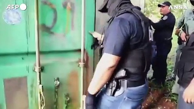 Sequestrate sei tonnellate di pinne di squalo a Panama, cinque arresti