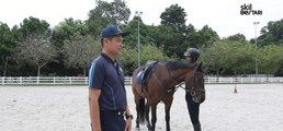 Teknik Asas Menunggang Kuda