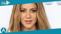 Shakira toujours plus proche de Lewis Hamilton : cette nouvelle apparition qui en dit long sur leur