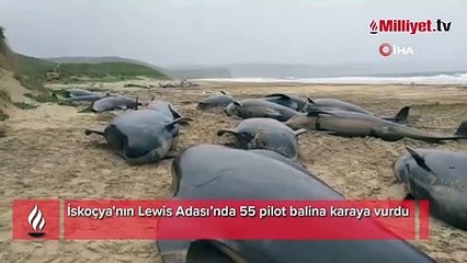 Vatandaşlar haber verdi! Ülkede korkutan görüntü