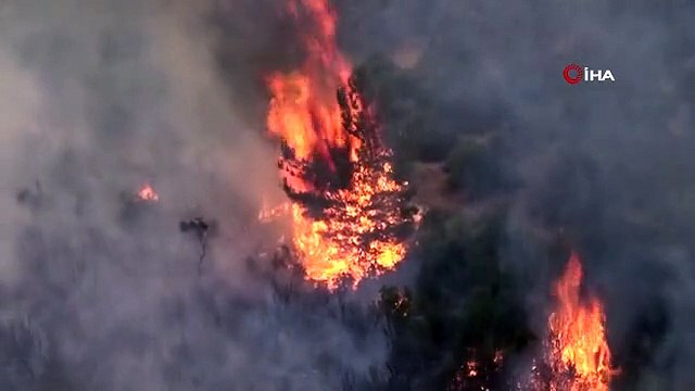 Çanakkale'deki orman yangınında 28 saat geride kaldı