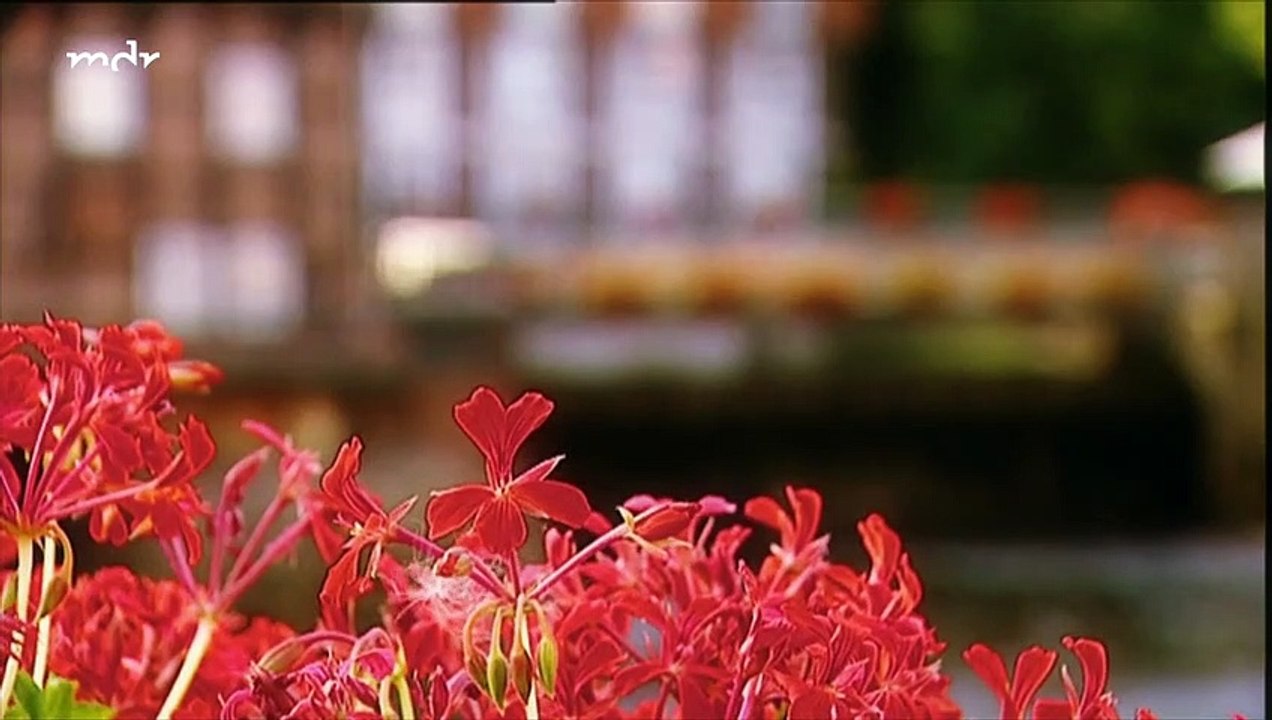 Rote Rosen Folge 908
