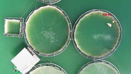 Van'da Zernek Baraj Gölü'nde Kuraklık Alarmı