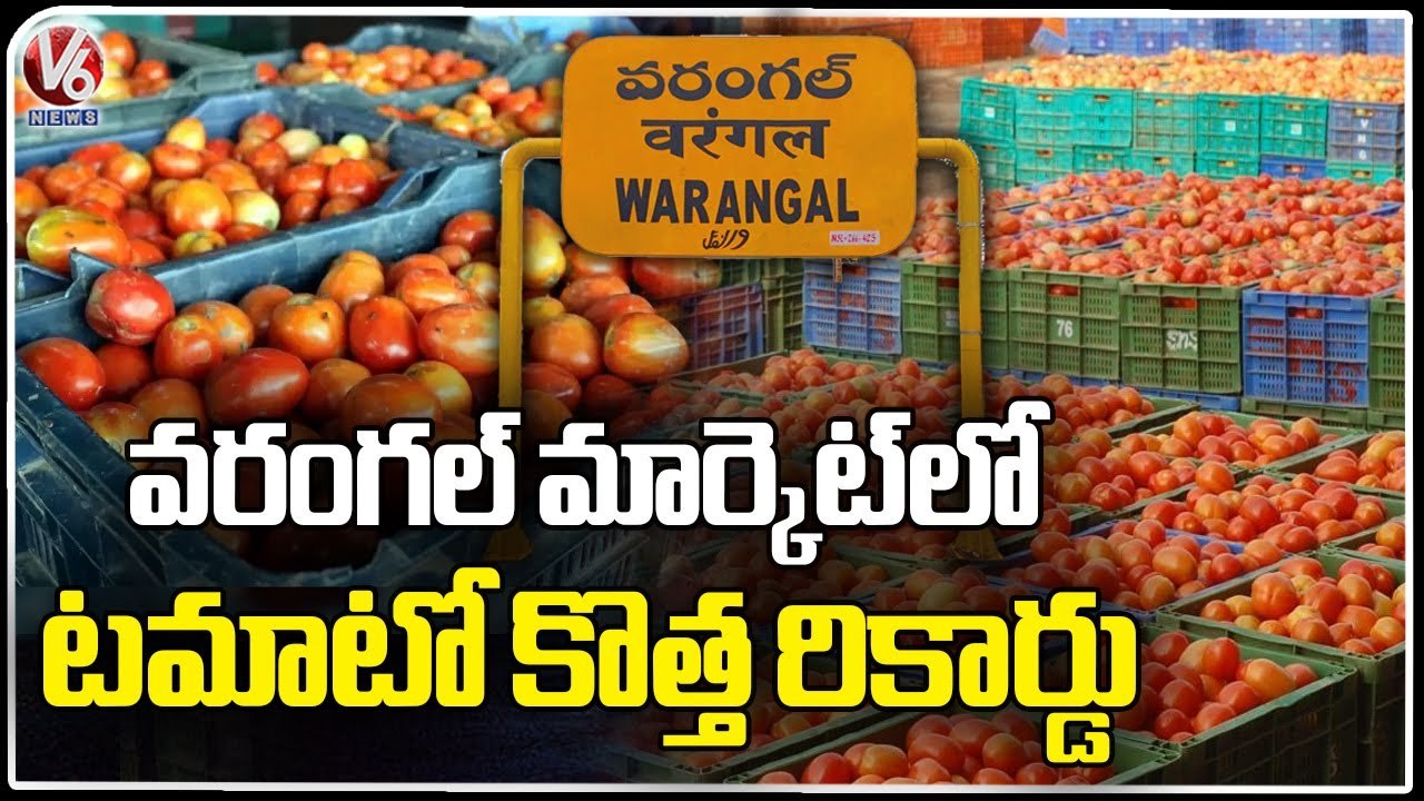 Tomato Prices Creates New Record, Public Requests Govt To Reduce Prices | Warangal | V6 News