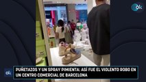 Puñetazos y un spray pimienta: así fue el violento robo en un centro comercial de Barcelona