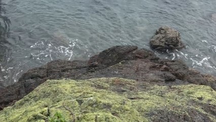 Clumsy man slips from rocks while out fishing *Hilarious Fail*