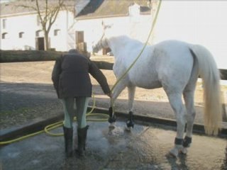 Népal je l'aime à la folie de toute ma vie (L)