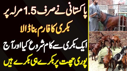 Pakistani Ne Sirf 1.5 Marla Par Goat Farm Bana Dala - 1 Bakri Se Kam Start Kia Or Aaj Bakre Hi Bakre