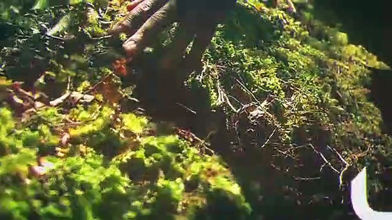 Nasheed Ya Adheeman - Ahmed Bukhatir  - only islam