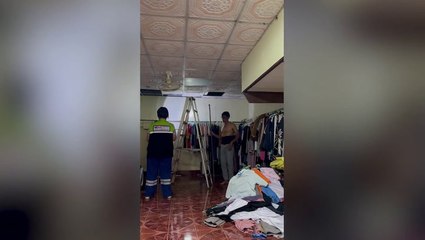 Moment 12ft snake hiding in wall of family’s home pulled through plaster