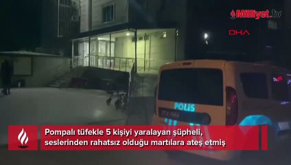 Yer: Yalova! Sıcaktan bunaldı, martıları kurşunladı... Akılalmaz olayda 5 vatandaş yaralı