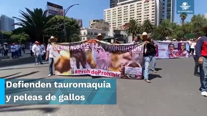 Se ponen gallos y causan caos vial #EnPortada