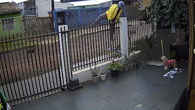 Ladrões 'cara de pau' furtam churrasqueira na frente dos donos