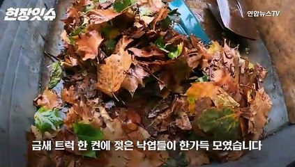 [현장잇슈] 강남 그 물난리 뒤…다시 가보니 "이래도 버리실 거예요?"