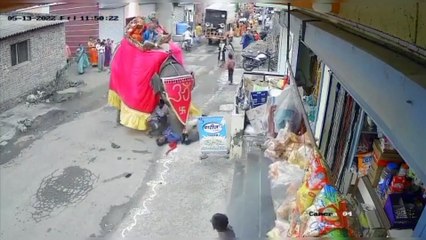 Scary Elephant Attacks on Humans