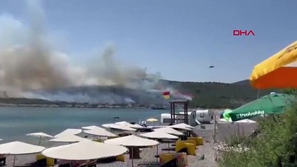 Urla'da orman yangını!