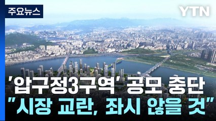 [서울] 압구정 재건축 '낚시성' 계획안 막는다! / YTN