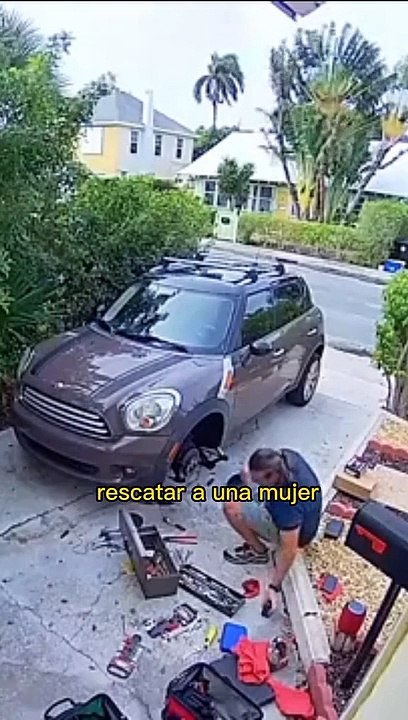 Este loro se hizo famoso por engañar a la Policía